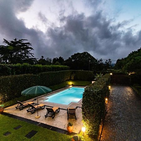 Casa Do Pinheiro With Shared Swimming Pool Villa São Vicente Ferreira Exteriör bild