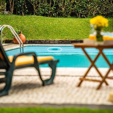Casa Do Pinheiro With Shared Swimming Pool Villa São Vicente Ferreira Exteriör bild