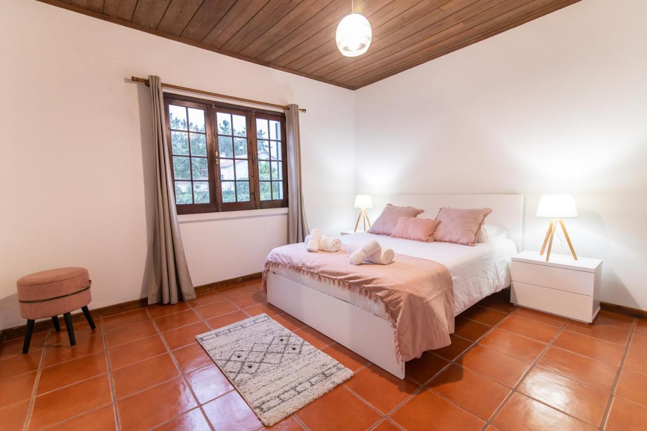 Casa Do Pinheiro With Shared Swimming Pool Villa São Vicente Ferreira Exteriör bild
