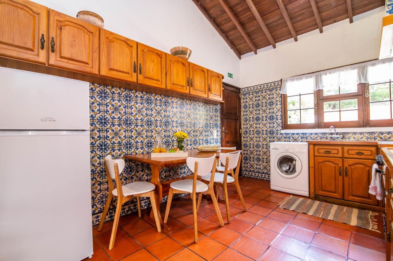 Casa Do Pinheiro With Shared Swimming Pool Villa São Vicente Ferreira Exteriör bild