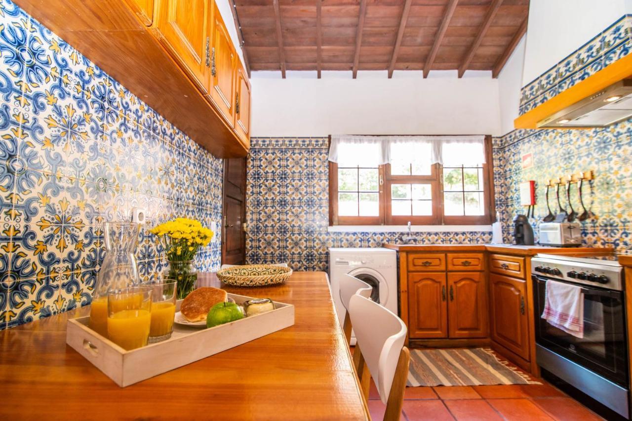 Casa Do Pinheiro With Shared Swimming Pool Villa São Vicente Ferreira Exteriör bild