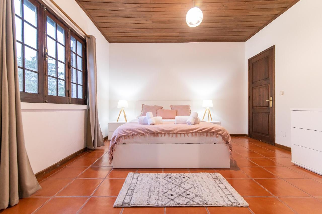 Casa Do Pinheiro With Shared Swimming Pool Villa São Vicente Ferreira Exteriör bild
